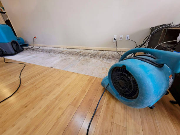 Professional Flood Damage Cleanup technician working in New Paris, OH